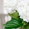 social-curator-03-2018-19-683x1024-1024x585