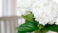 social-curator-03-2018-19-683x1024-1024x585
