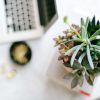 Business Growth
