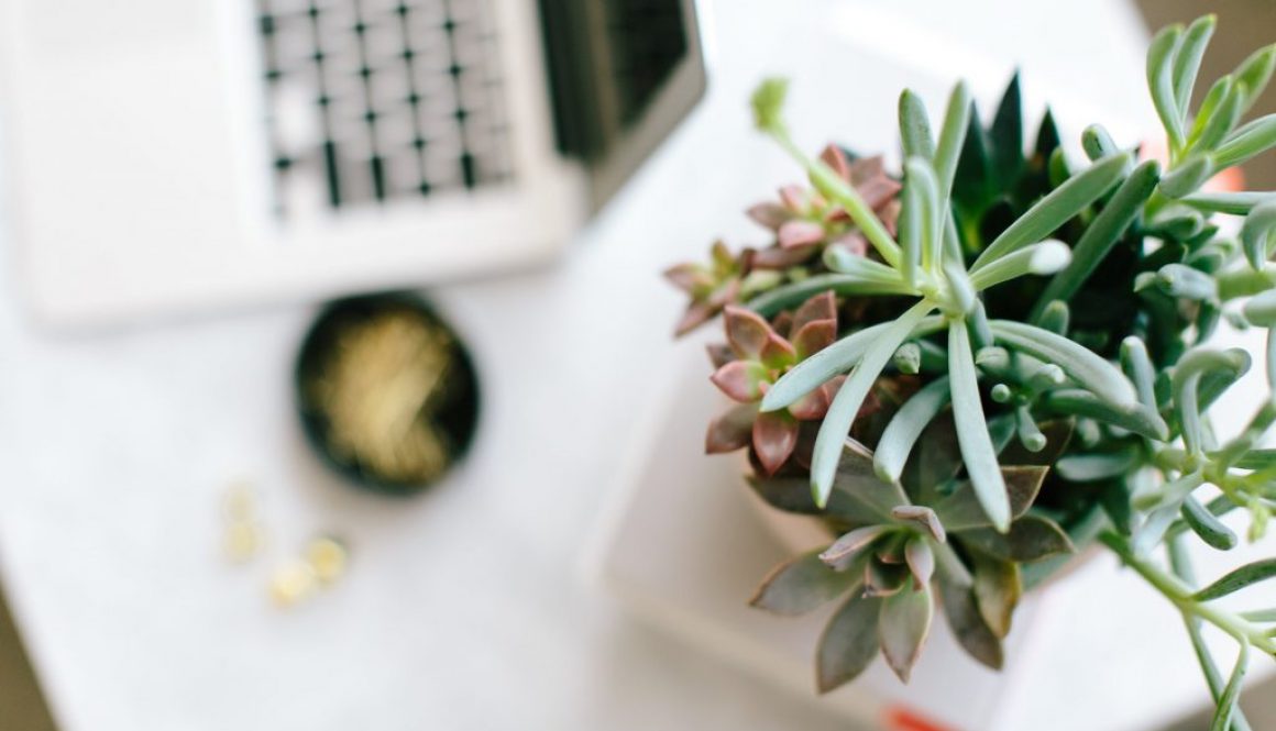 Business Growth