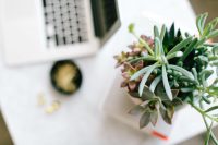 Business Growth