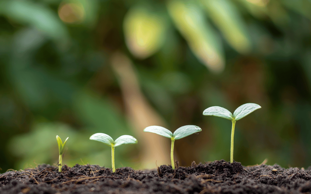 Episode 163 –  Scaling Your Small Business to Big Numbers